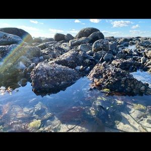 Meet your Posher, Daria